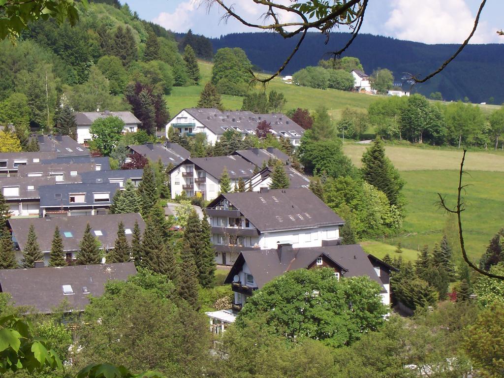 Wietheger'S Ferienwohnungen Gaestehaus Strycktal II Willingen  Eksteriør billede